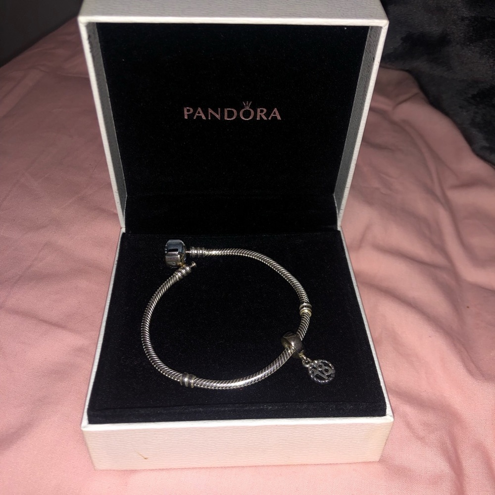 Brand new Pandora Bracelet